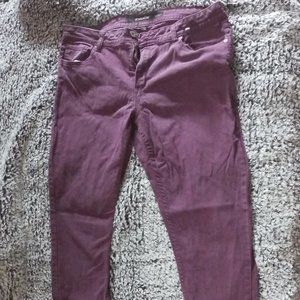 Jordache Pants